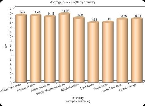 Average Penis Size By Race